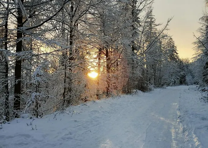 Pod śnieżką Uroczy Z Kominkiem
